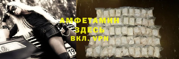 индика Гусиноозёрск
