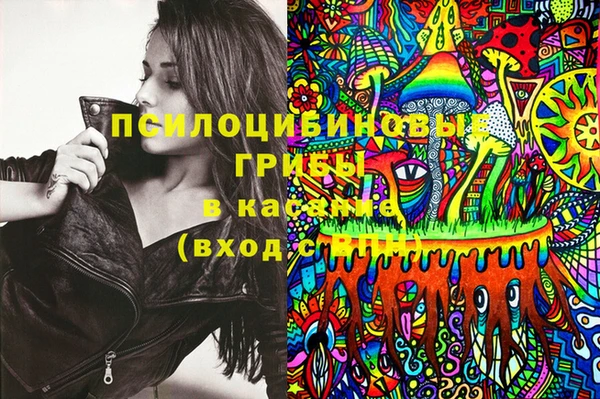 скорость Горняк
