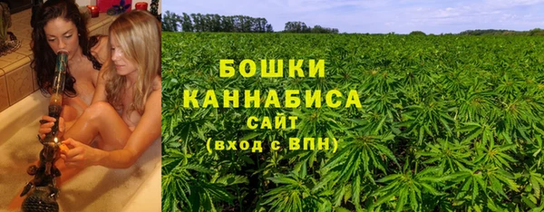 не бодяженный Горнозаводск