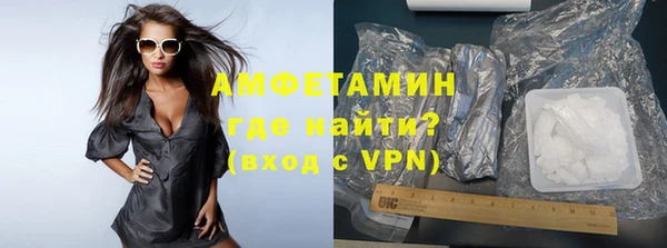 индика Гусиноозёрск