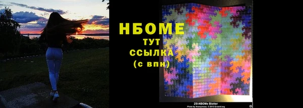 индика Гусиноозёрск