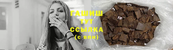 индика Гусиноозёрск