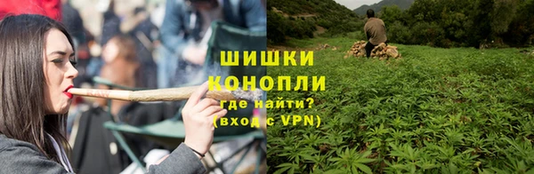 ГАЛЛЮЦИНОГЕННЫЕ ГРИБЫ Горно-Алтайск