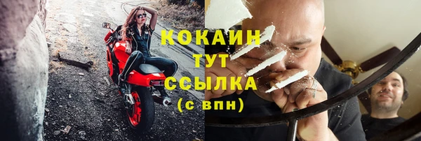 ГАЛЛЮЦИНОГЕННЫЕ ГРИБЫ Горно-Алтайск