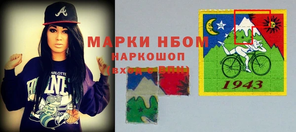 индика Гусиноозёрск