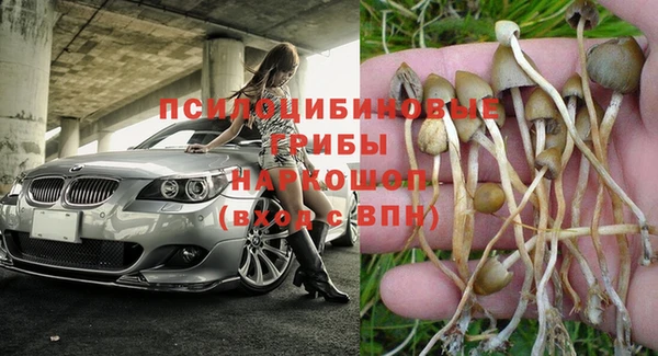 меф Чердынь