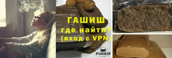 индика Гусиноозёрск